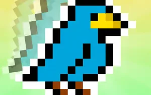 Bird Jumper